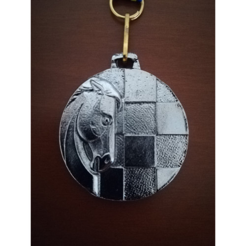 MEDALLA DE PLATA 2