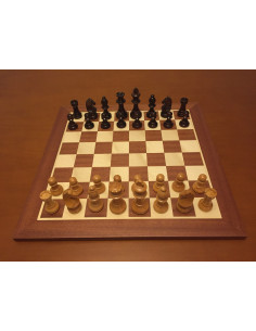 MODELO ESPARTA 2